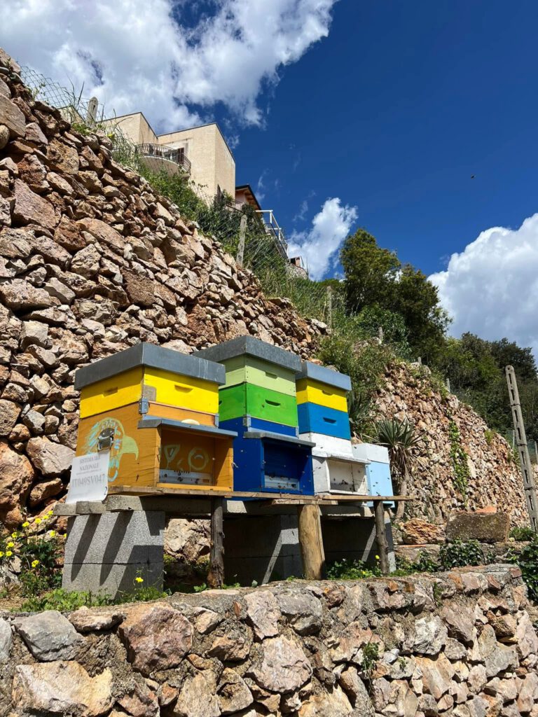 Le api che sono in Hotel Daria a Pietra Ligure