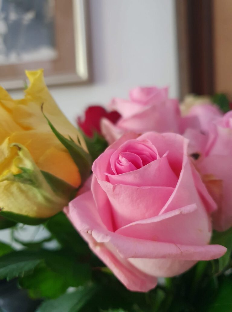 I dettagli fanno la differenza nella riviera dei fiori. A Pietra Ligure nell'Hotel Daria.