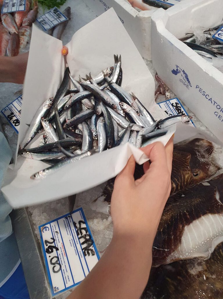 Acciughe del mar ligure per i piatti della nostra cucina all'Hotel Daria di Pietra Ligure